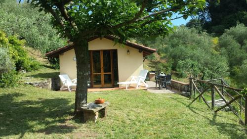 Chalet dell'Ulivetello, Pension in San Martino in Freddana