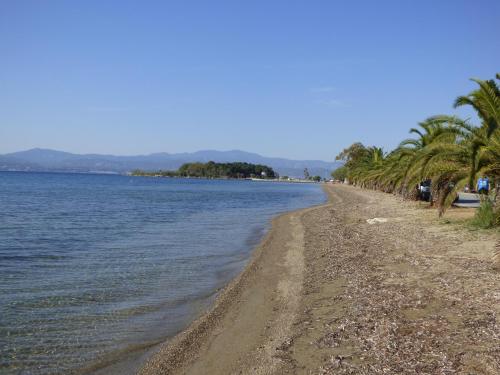 Atelier Spyros Vassiliou Eretria in Eretria