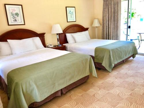 乔治湖林恩艾尔汽车旅馆 乔治湖林恩艾尔汽车旅馆