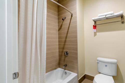 Econo Lodge Inn & Suites Houston Willowbrook