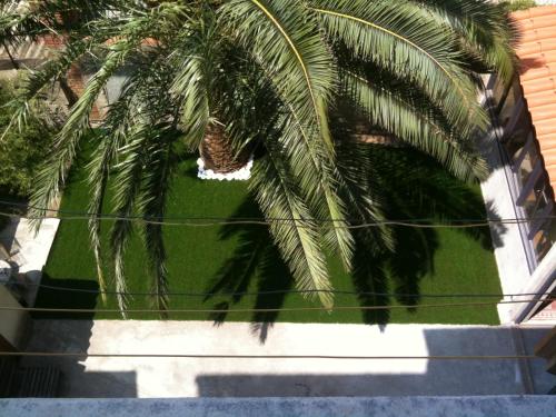 Les Cagettes en Ville - Accommodation - Perpignan