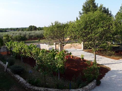 Apartment and Rooms Hacienda Stelio