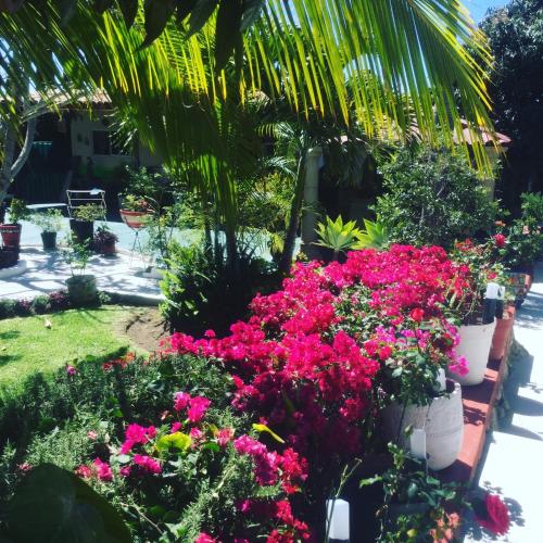 Casa de la Abuela – Ajijic, OH