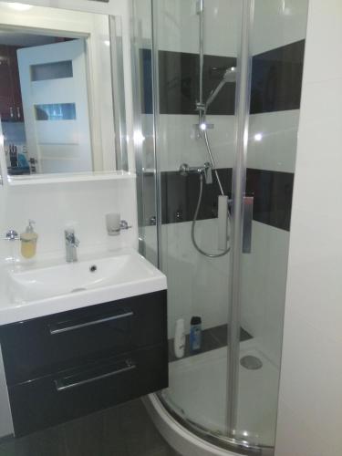 CHERRY APARTAMENT W ŚCISŁYM CENTRUM, Varšava (fotografie 11)