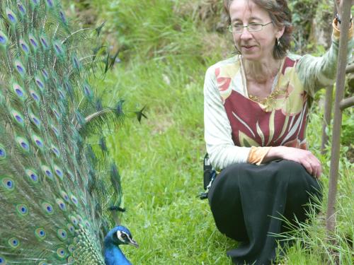 Villa Tranquillité - main image