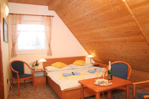 Pension Harrachov - image 4