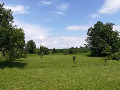  Apartman Niko in Drežnik Grad
