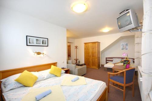 Pension Harrachov in Harrachov