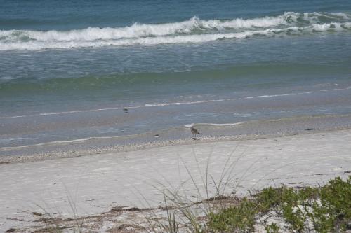 Bungalow Beach Resort – Bradenton Beach, FL