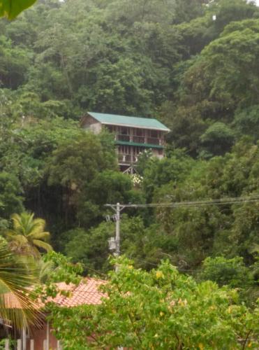 Viesnīcas āriene, Cabana El Caney in Zapzurro