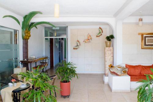 Hotel Careyes Puerto Escondido - 로비