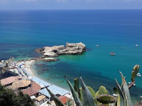 TUI BLUE Tropea - image 8