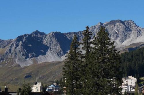 Paradies 411, Arosa (foto 3)