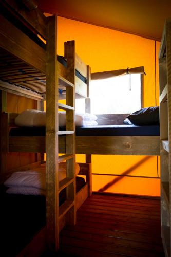 Holiday park Duinhoeve - image 8