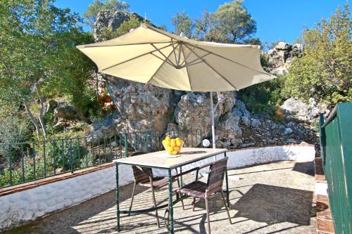 Casas Rurales Los Algarrobales - image 14