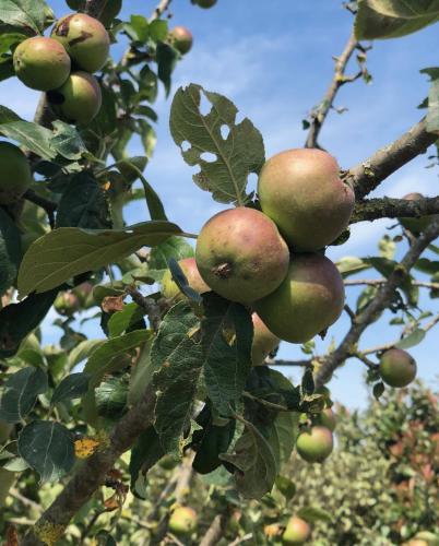 B&B El Ranxo B&B El Ranxo