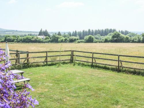 View The Gallery Okehampton - image 9