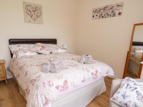 Tegfan Rhayader - image 14