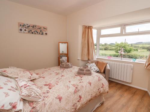 Tegfan Rhayader - image 3