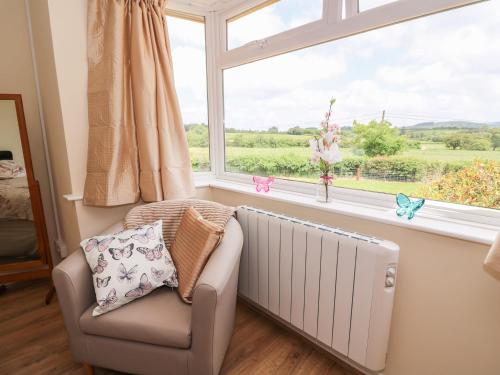 Tegfan Rhayader - image 13