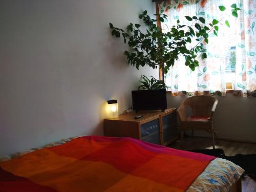  Aradi Apartman, 2500 Esztergom