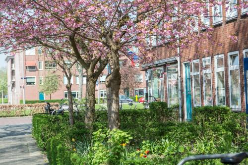 Stee in Stad - image 12
