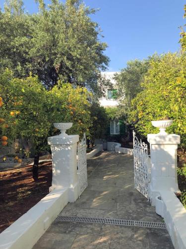 151792111 Masseria Il Melograno