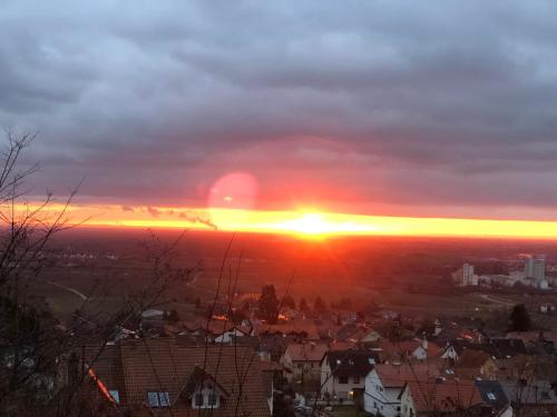 Fritsch Häusel in Neustadt an der Weinstraße, Deutschland