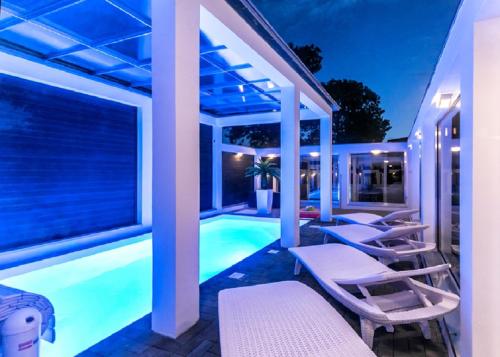 Palisander z widokiem na morze - Rewal