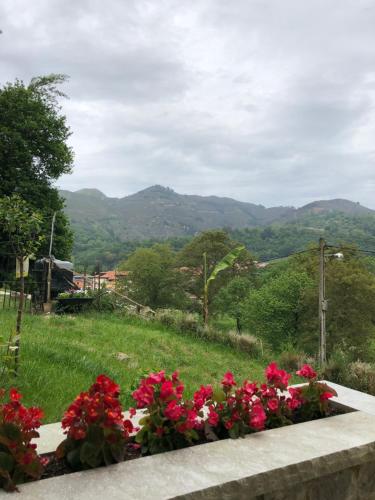 Alojamiento Rural Cosorios – Cangas de Onis, FL