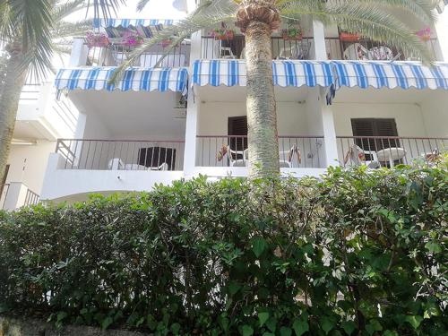 Guest House Goca - image 7