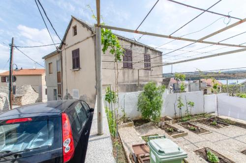 Apartment Rosa