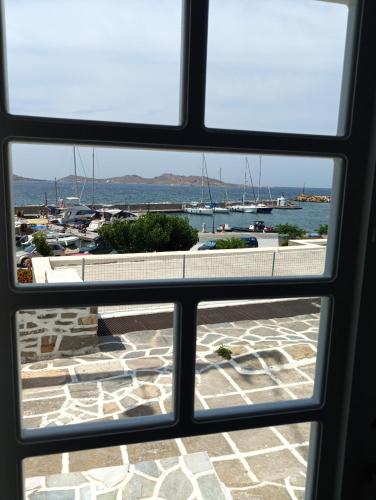 Daphne - image 14