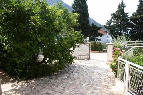 Apartments with a parking space Gradac Makarska - 5198 - image 9