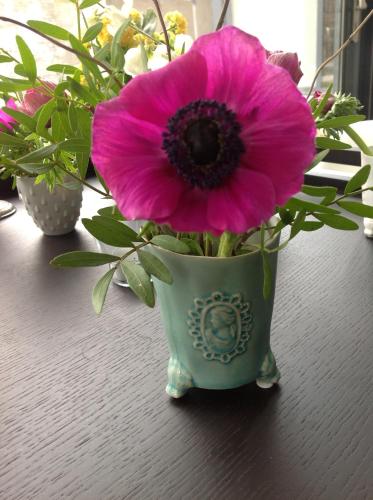 B&B Winterresidentie – Tilburg, IA