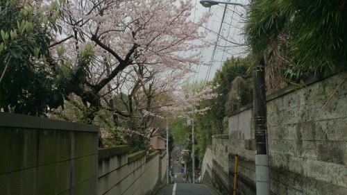 Apartment image 10