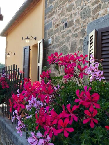 B&B Vagliagli - Mamma Laura - Bed and Breakfast Vagliagli