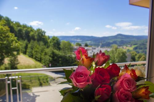 Apartamenty Kamienna z widokiem na góry i 2 km do Wyciągu Skolnity - Dream Apart Apartamenty Kamienna z widokiem na góry i 2 km do Wyciągu Skolnity - Dream Apart