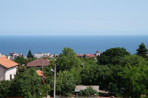 Margarita Hotel - image 5