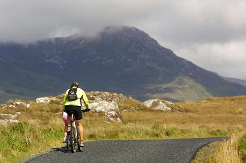 Cottage 311 - Clifden