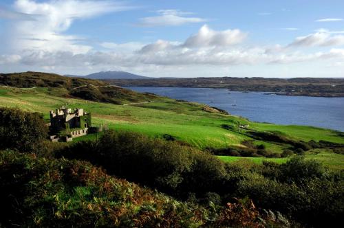 Cottage 311 - Clifden