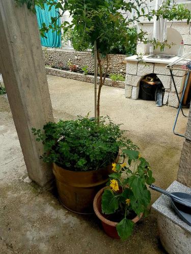  Apartment 4you in Šibenik