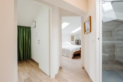 CanguroProperties - Nino Bixio - main image