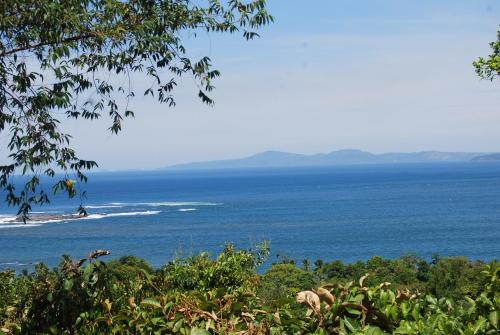 El nido del tucán