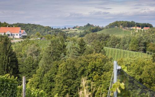 Kitzecker-Weingartenhaus