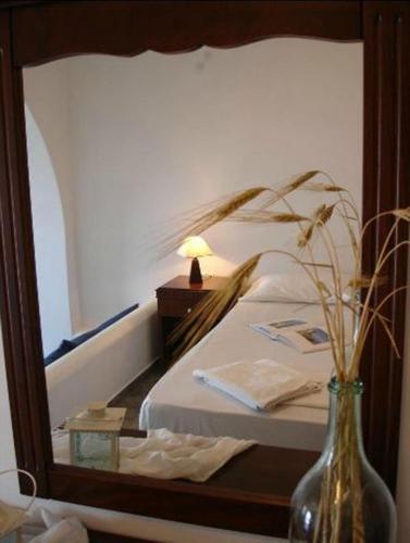 Belvedere Apartments - image 4