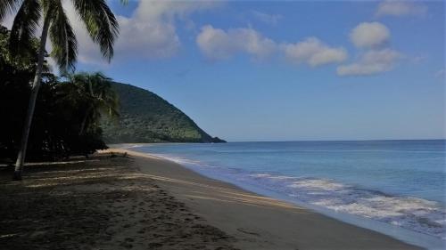 Beach, Caraib'Bay Hotel in Deshaies