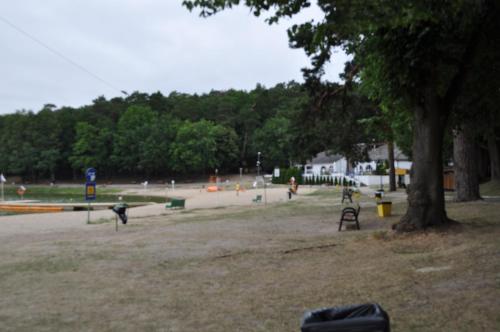 A környék, Pod starymi lipami in Zachod