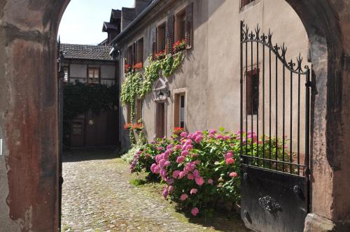 Les Hortensias - Location saisonnière - Riquewihr