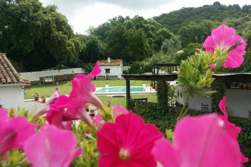 Casona Del Duende - image 8